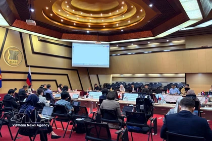 La 24e réunion du Comité mixte de coopération ASEAN–Russie. Photo: VNA