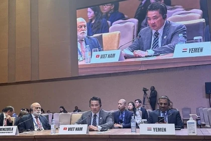 L'ambassadeur Pham Hai Anh, chef du Département des organisations internationales du ministère des Affaires étrangères, s'exprime lors de la réunion. Photo: VNA