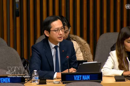 L’ambassadeur Dô Hung Viêt, chef de la Mission permanente du Vietnam auprès de l’ONU, s'exprime lors de la réunion. Photo: VNA