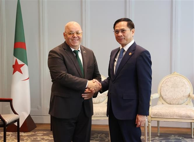 Le vice-Premier ministre et ministre des Affaires étrangères Bui Thanh Son (droite) et le ministre algérien des Moudjahidine (anciens combattants) et des Ayants droits, Laid Rebiga à Hanoï. Photo : VNA
