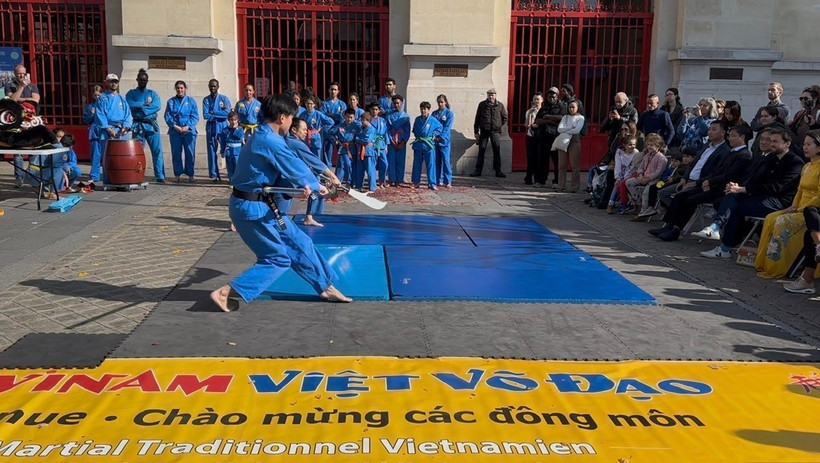 Des démonstrations d’arts martiaux dynamiques. Photo : VNA