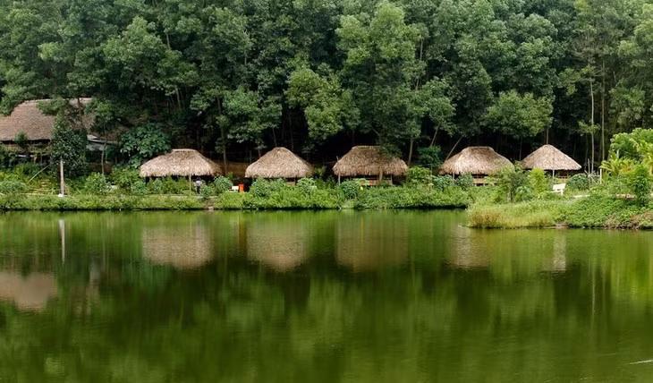 Un paysage apaisant et verdoyant dans le village de Thai Hai. Photo: Thai Hai./VOV