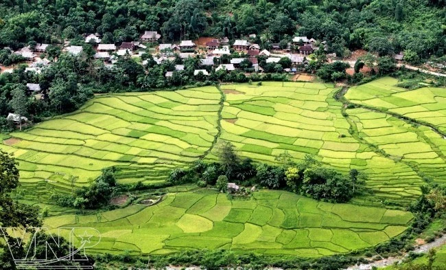 Des villages de l'ethnie Thai avec de magnifiques champs en terrasses. Photo : vietnam.vnanet.vn