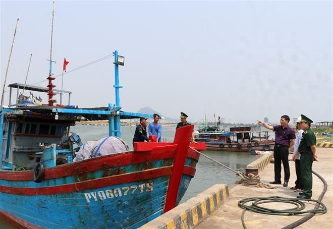 Une délégation du ministère de l'Agriculture et du Développement rural inspecte le port de pêche de Dong Tac (ancienne province de Phu Yen). Photo : VNA