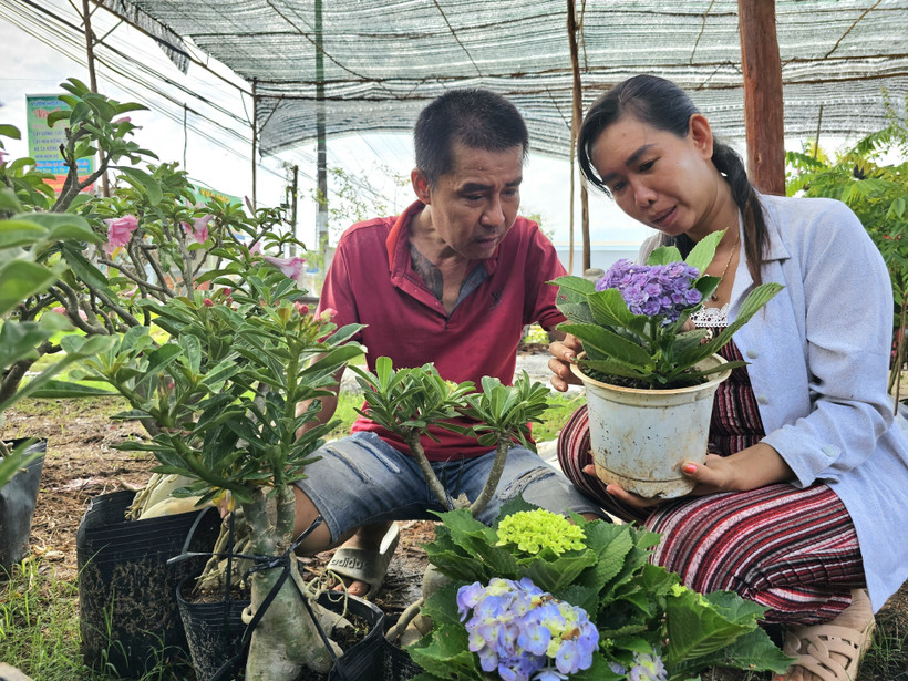 Le Hong Phuc et sa femme Vo Thi Loan, résidant dans le hameau de Tan Thien, commune de Tan Thanh Binh, province de Ben Tre, développent leur entreprise de production de pots ornementaux et de bonsaïs grâce à un crédit public. Photo : VNA 