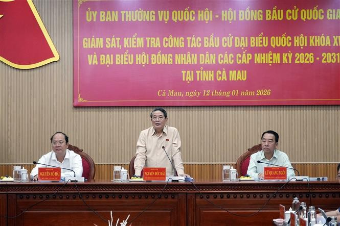 Une délégation du Comité permanent de l’Assemblée nationale, conduite par son vice-président Nguyen Duc Hai, également membre du Conseil électoral national, a effectué ce 12 janvier une mission de supervision des préparatifs des élections à Ca Mau. Photo : VNA