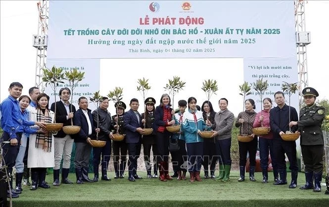 Lancement de la campagne de plantation d’arbres du printemps 2025 à Thai Binh. Photo: VNA