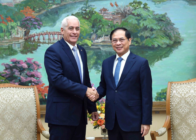 Le vice-Premier ministre et ministre des Affaires étrangères Bui Thanh Son (droite) reçoit à Hanoï Gerardo Peñalver Portal, premier vice-ministre des Affaires étrangères de Cuba. Photo : VNA