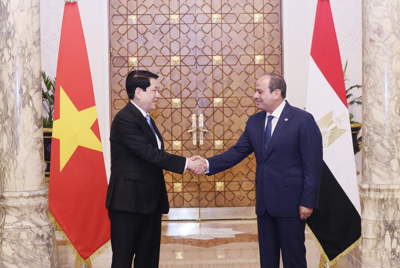 Déclaration conjointe sur l’élévation des relations au niveau de partenariat global Vietnam-Égypte