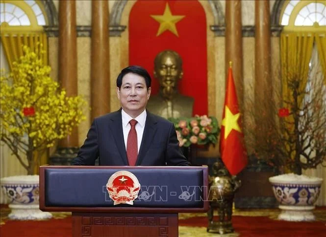 Le président Luong Cuong. Photo : VNA