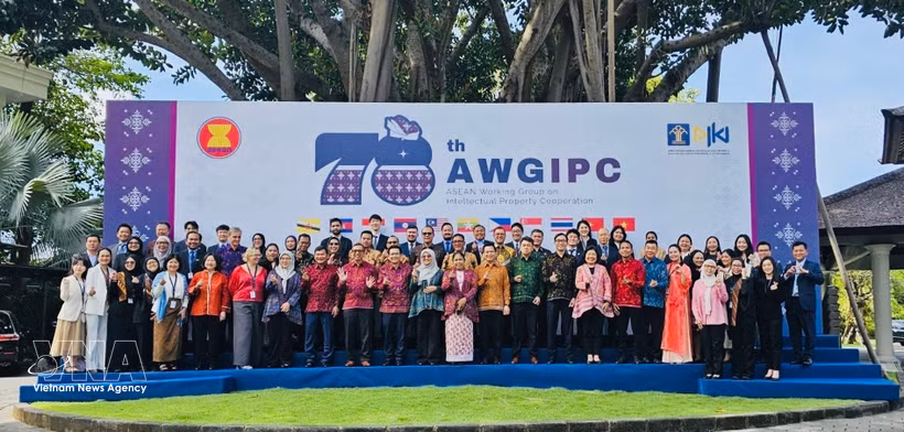 Les délégués à la 78e réunion du Groupe de travail de l’ASEAN sur la coopération en matière de propriété intellectuelle à Bali (Indonésie). Photo : VNA