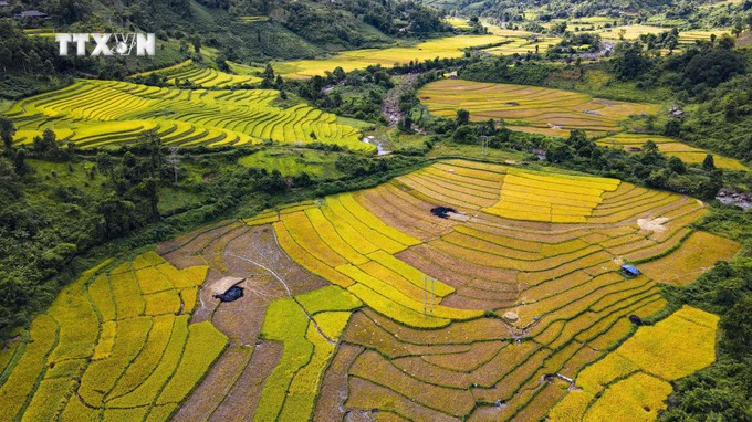 Les champs en terrasses dans le district frontalier de Muong Nhe, Dien Bien. Photo : Xuan Tu - VNA