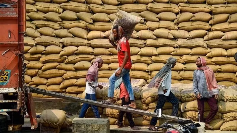 Des ouvriers transportent du riz dans un entrepôt à Jalandhar, en Inde.