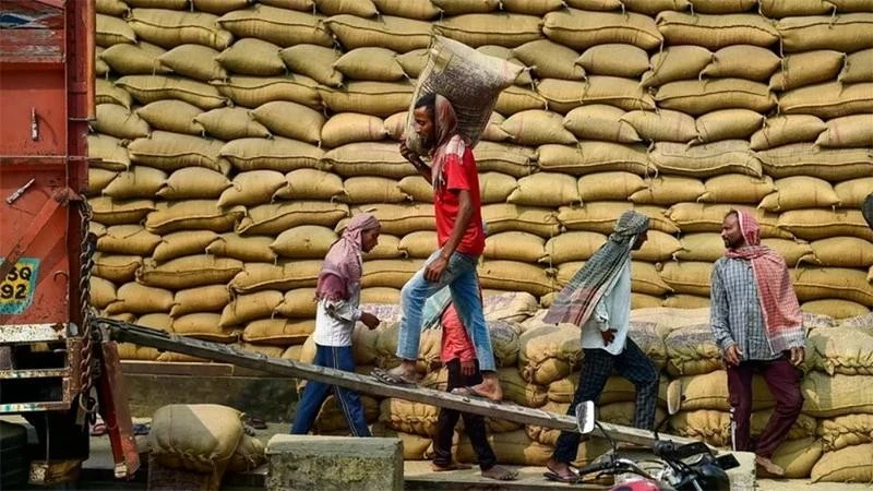 Des ouvriers transportent du riz dans un entrepôt à Jalandhar, en Inde.