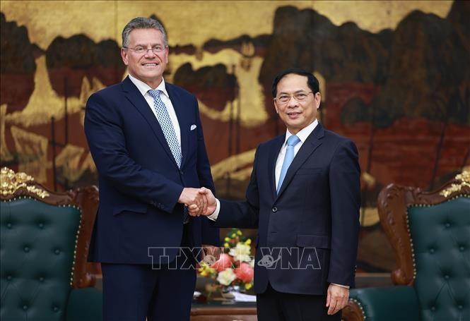 Le vice-Premier ministre Bui Thanh Son (droite) et Maros Sefcovic, commissaire européen au Commerce et à la Sécurité économique de l’Union européenne. Photo : VNA