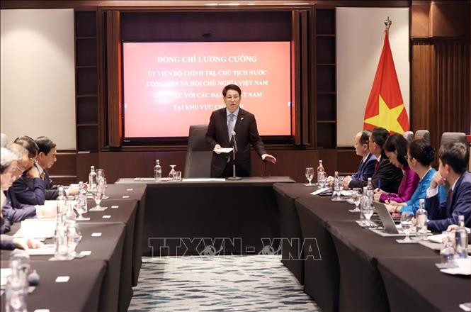Le président vietnamien Luong Cuong a rencontré, dans la soirée du 3 août au Caire, les ambassadeurs du Vietnam accrédités dans divers pays africains. Photo : VNA