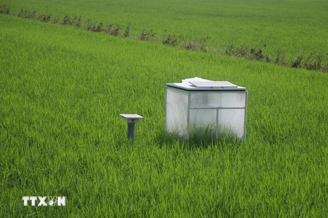 Système de mesure de la réduction des émissions dans les rizières. Photo : VNA