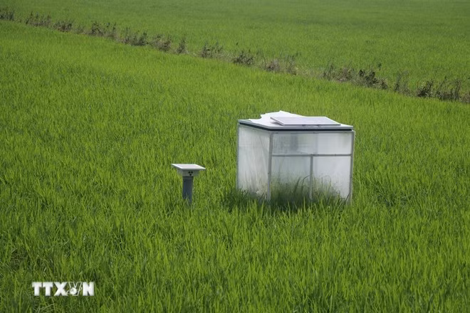 Système de mesure de la réduction des émissions dans les rizières. Photo : VNA