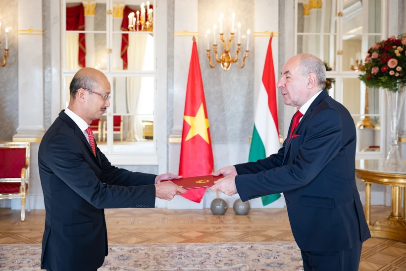 L'ambassadeur Bui Le Thai (gauche) et le président hongrois Sulyok Tamás. Photo : VNA