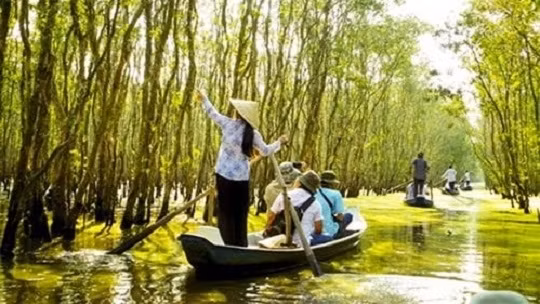 Parc national de Tràm Chim, un site touristique célèbre de Dông Thap ảnh 1