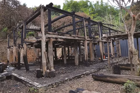 La maison Lang renaît de ses cendres ảnh 2