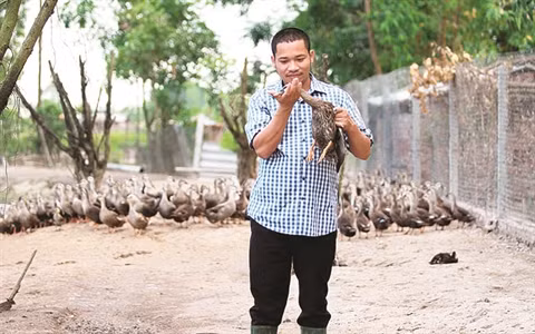 Devenu milliardaire grâce aux canards sauvages ảnh 1