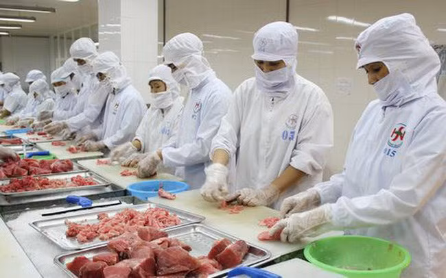 Le Canada augmente les importations de thon vietnamien ảnh 1