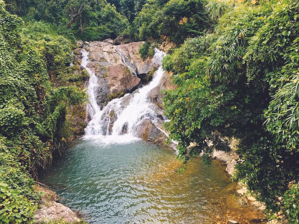 Réveiller le potentiel de Tiên Yên ảnh 1 Réveiller le potentiel de Tiên Yên ảnh 1