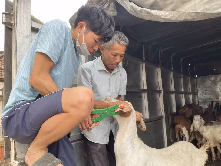 Nghê An : Un modèle efficace de soutien aux personnes défavorisées ảnh 1