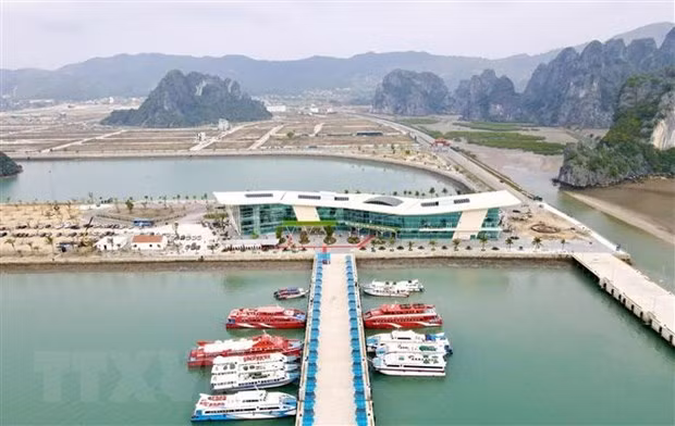 Mise en œuvre de la planification de la province de Quang Ninh ảnh 1