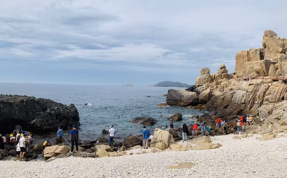La plus longue fresque murale du Vietnam est à Ninh Thuân ảnh 1
