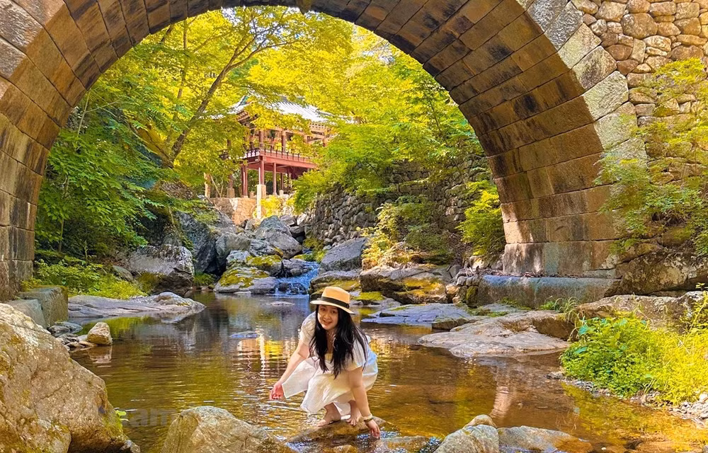 Vietnam-République de Corée : renforcer leur coopération dans le domaine touristique ảnh 1