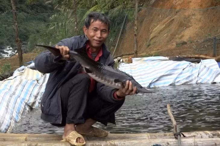 La pisciculture en eau froide, une solution d’avenir… ảnh 2