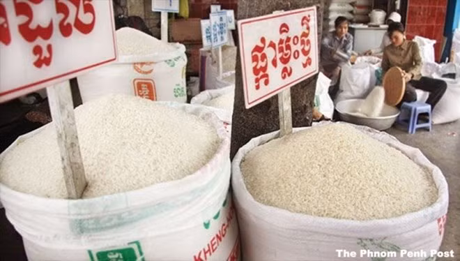 Cambodge : les exportations de riz en hausse de 10% ảnh 1
