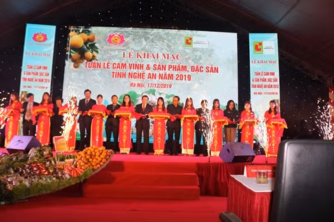Les oranges de Vinh mis en avant à Hanoï ảnh 1