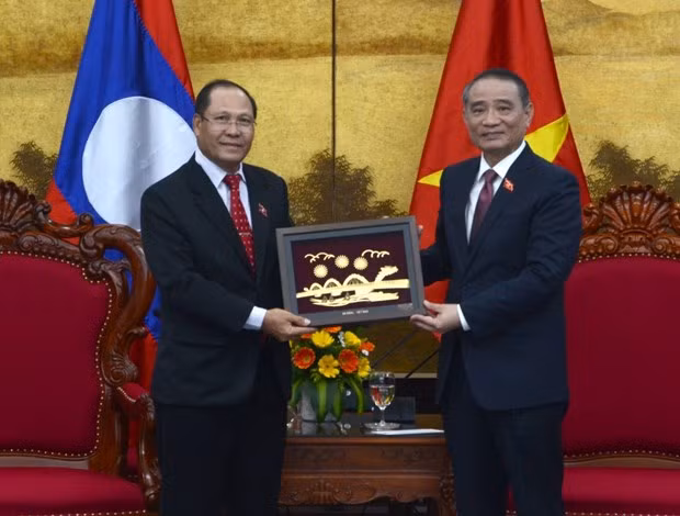 Visite d'une délégation de l'Assemblée nationale du Laos à Da Nang ảnh 1