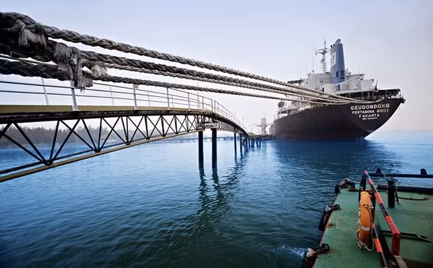 L'Indonésie rouvre plus d'aéroports internationaux et de ports maritimes ảnh 1