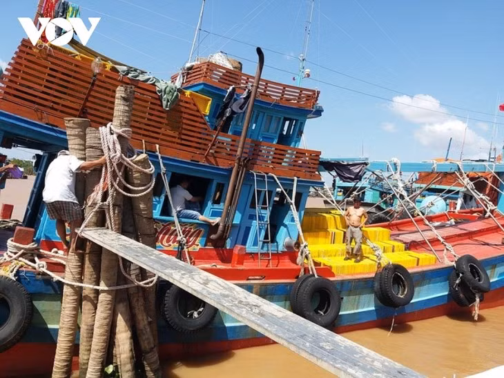 Le Vietnam renforce la lutte contre la pêche INN ảnh 1