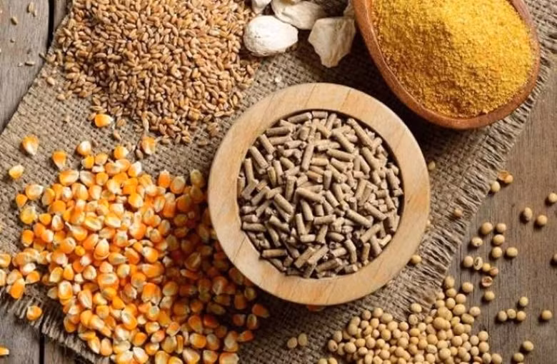Alimentation animale: les exportations atteignent 1,13 milliard de dollars en 2022 ảnh 1