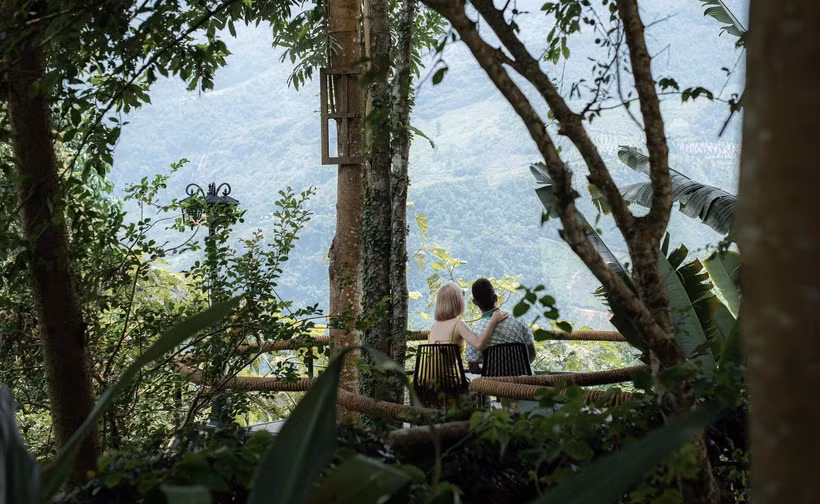 Le tourisme vietnamien a besoin d'une meilleure gestion des destinations, selon des experts ảnh 1