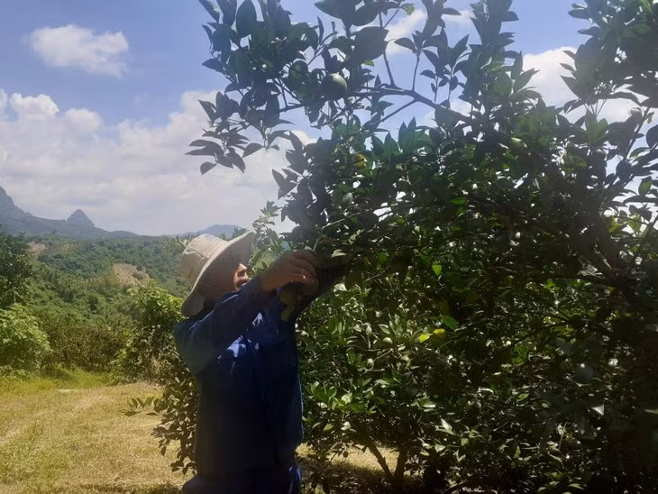 La province de Thai Nguyên mise sur la transformation numérique ảnh 1 La province de Thai Nguyên mise sur la transformation numérique ảnh 1