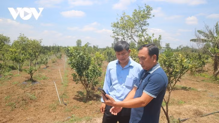 Soc Trang à l’heure de la transition numérique ảnh 1