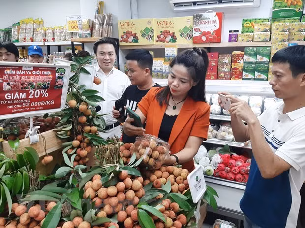 Promouvoir l'ouverture du marché chinois aux produits agricoles vietnamiens ảnh 2