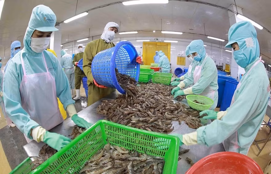 Les exportations de produits aquatiques devraient rencontrer des difficultés au troisième trimestre ảnh 1