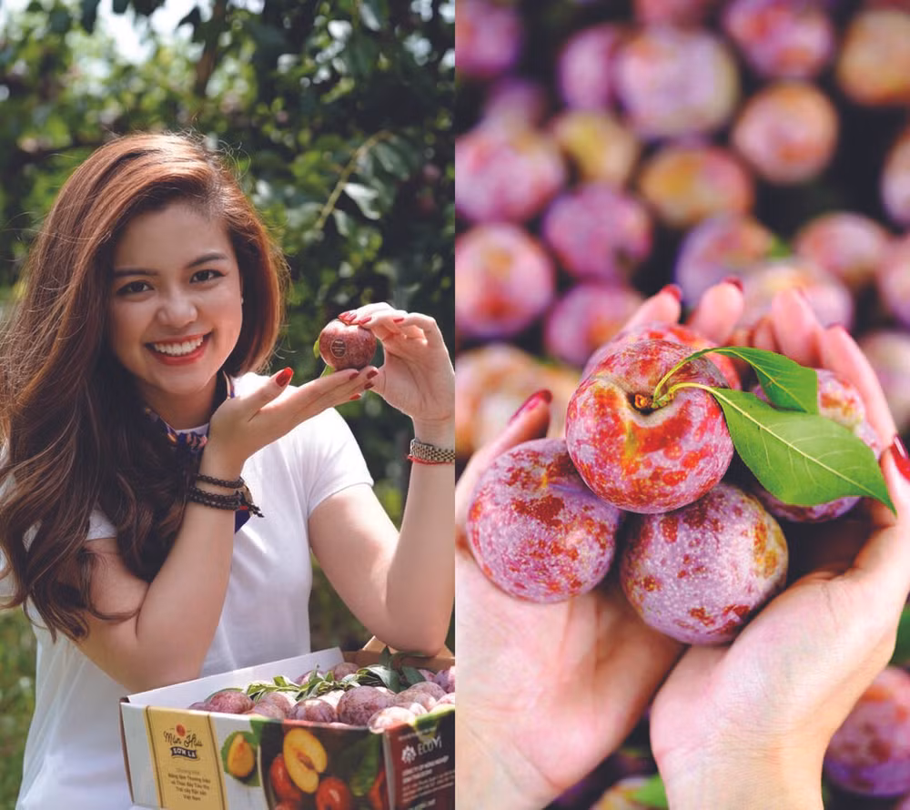 Elle lance une carte numérique de fruits vietnamiens ảnh 4