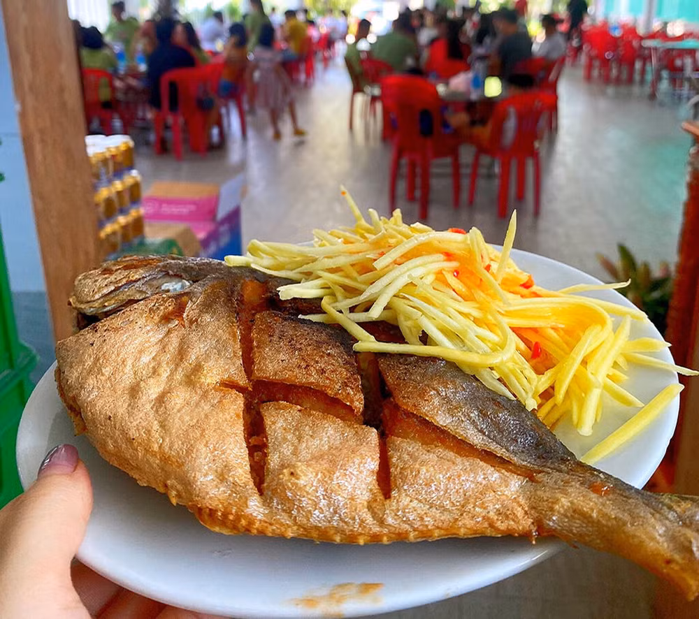 Les vergers de manguiers à Khanh Hoà attirent les touristes ảnh 3 Les vergers de manguiers à Khanh Hoà attirent les touristes ảnh 3