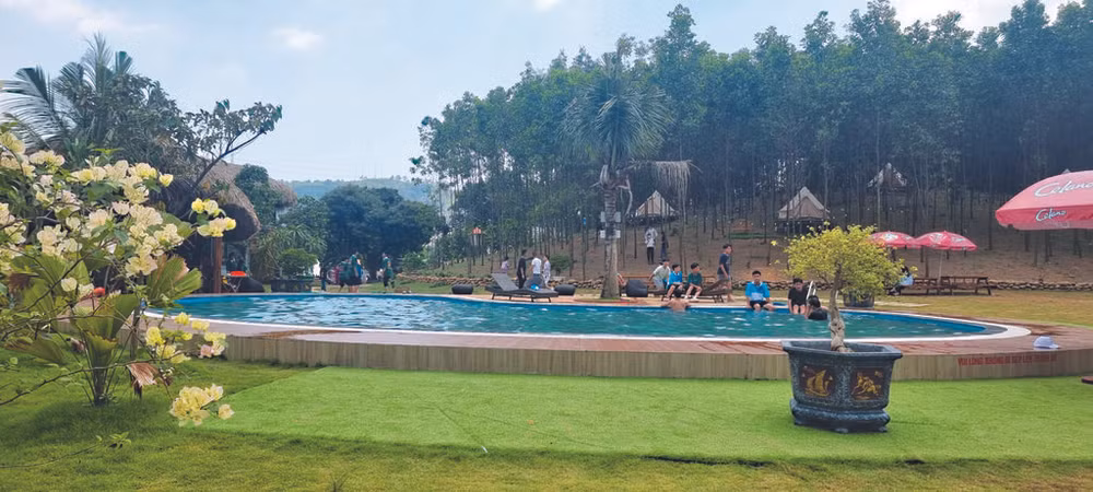 Quand écotourisme rime avec forêts ảnh 1 Quand écotourisme rime avec forêts ảnh 1