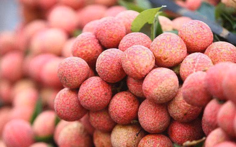 Bac Giang a 12 codes de zone de culture de litchi supplémentaires pour l’exportation ảnh 1