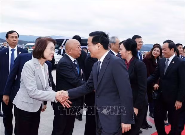 Le président Vo Van Thuong termine avec succès sa visite officielle au Japon ảnh 1