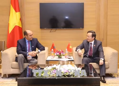 APPF-26: Renforcement de la coopération Vietnam-Maroc ảnh 1